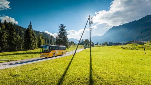 青青草國產(chǎn)線觀,青青草的青春旋律與時代印記