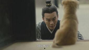 國產(chǎn)男人的天堂,男人的天堂，情感與激情的完美融合