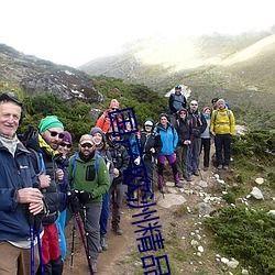 國產(chǎn)歐洲精品亞洲午夜拍精品,探尋激情與藝術的完美融合